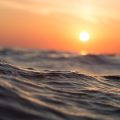 sunshine immersion