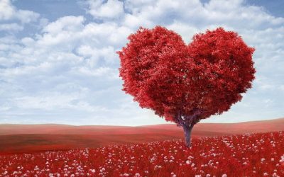 Love Is An Action