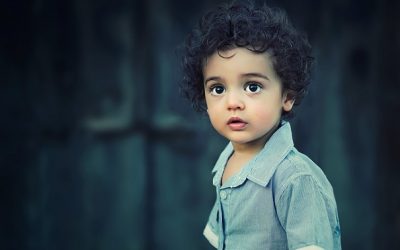Why Did My Child Regress?: Decoding My Autism.net