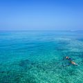 snorkeling