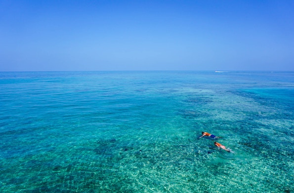 Overcoming Limitations: Snorkeling to the Turtle Cleaning Station