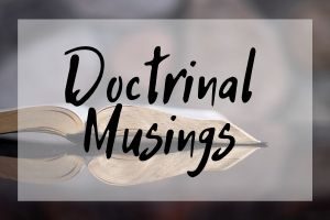 Paul Pulsipher Doctrinal Musings