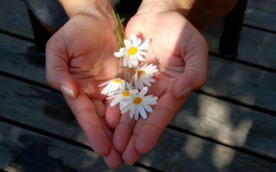 Book Review: The Kindness Givers’ Formula