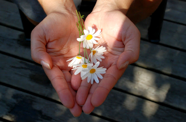 Book Review: The Kindness Givers’ Formula