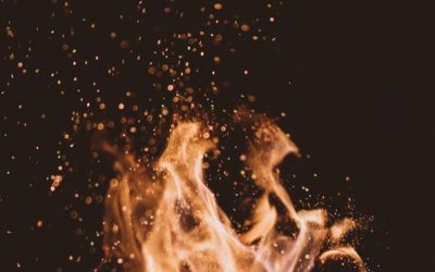 Phoenix Rising From the Ashes