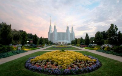 Scattered Thoughts on Temple Grounds