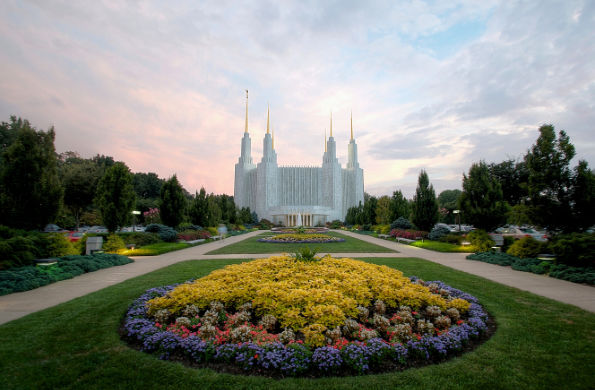 Scattered Thoughts on Temple Grounds