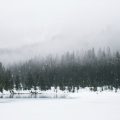 snow