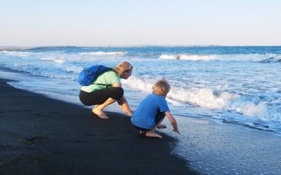 Homeschool Tips and Tricks