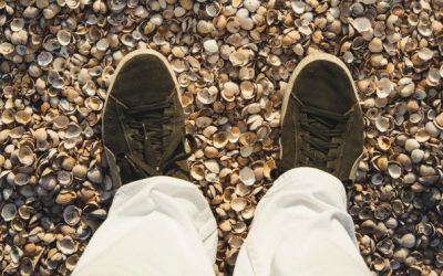 A Pebble in My Shoe