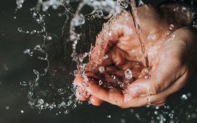 Cleansing the Sticky Hands