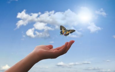 Tips For Staying Sane