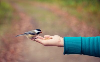 Tender Mercies