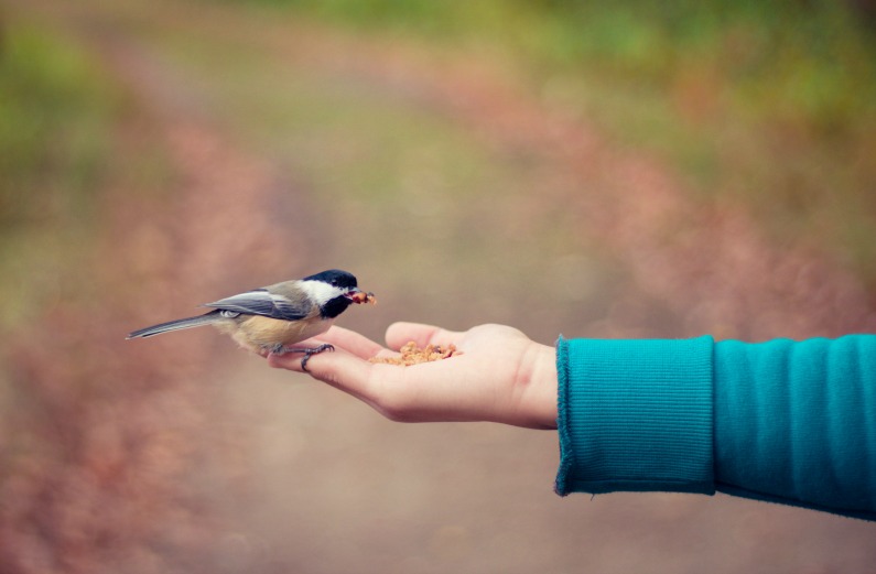 Tender Mercies