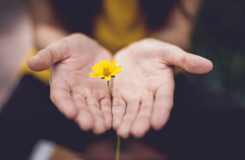 receiving and giving