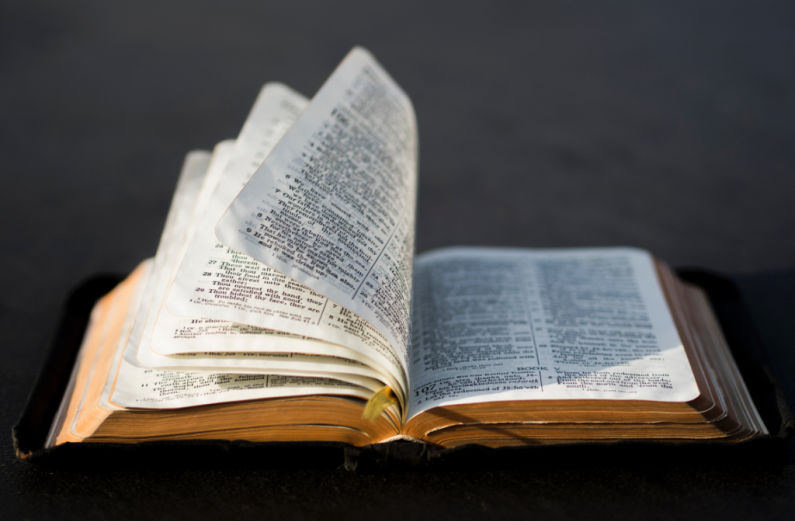 bible scriptures