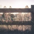 fences fence
