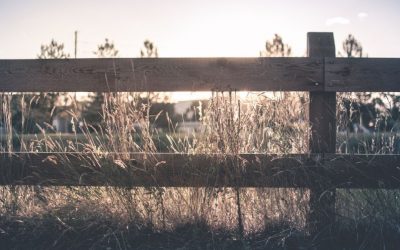 Fences