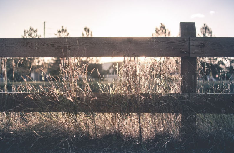 fences fence