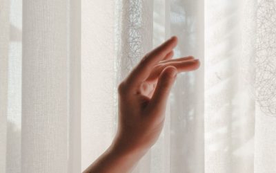 The Thin Veil