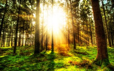 Spirit Series, Chapter 3: Spirits And Our Powerful God