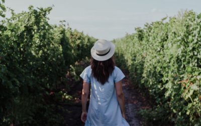 Why I Left The Church of Jesus Christ — and Why I Came Back Again