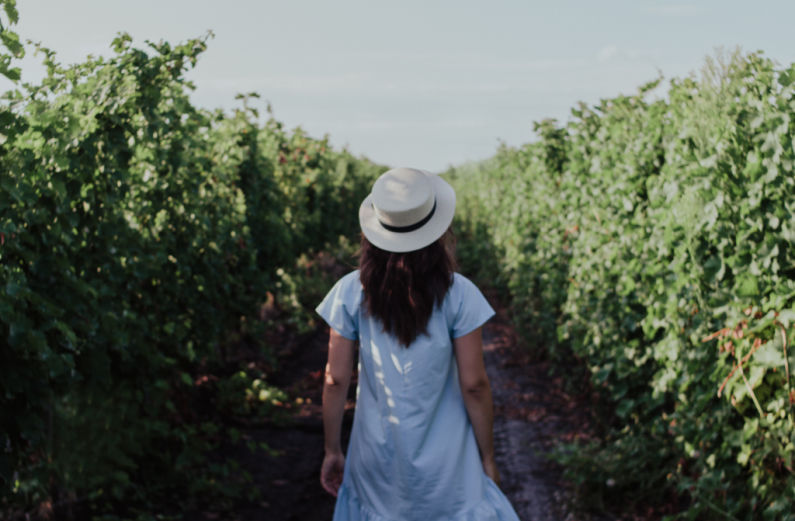 woman field walking