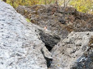 boy climbing boulders