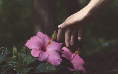 Flower Power