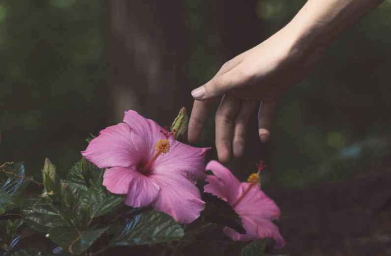 Flower Power