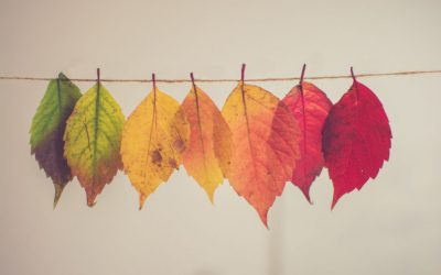 Change: A Refreshing Perspective