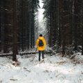 standing in snow tree