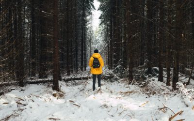Standing With the Steadfast and Immovable Trees