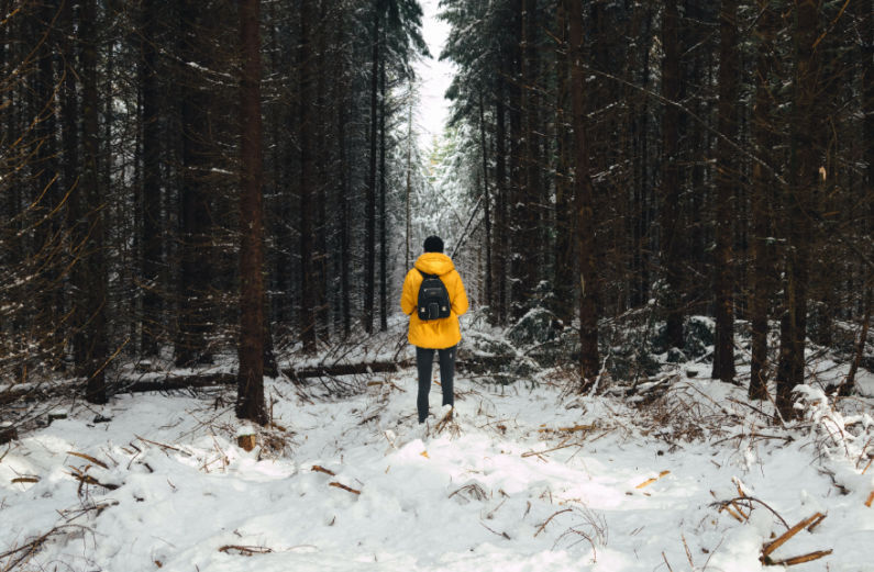 standing in snow tree