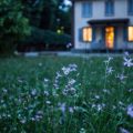 home happy security