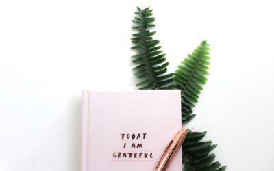 A Scientist Experiments with the Gratitude Challenge